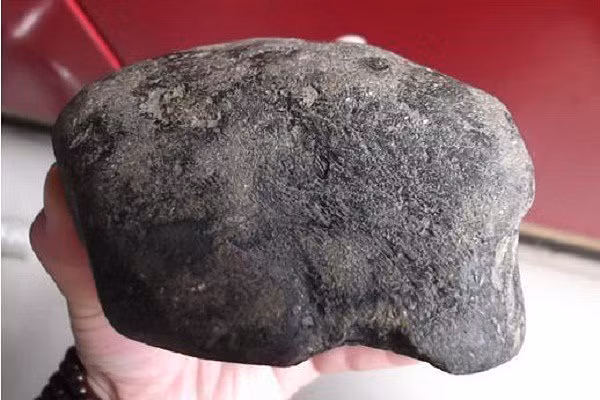 Hòn đá muối dưa được trả giá 14 tỷ đồng - Hình 2