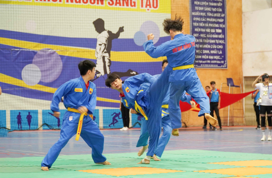 Tiết mục biểu diễn võ thuật Vovinam.