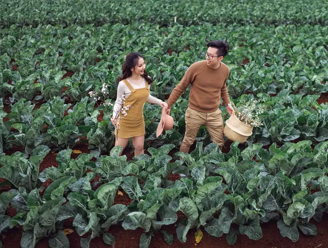 Còn Trà thì tin rằng, Lâm là người đàn ông tốt bụng, suy nghĩ tích cực, luôn che chở cho cô.