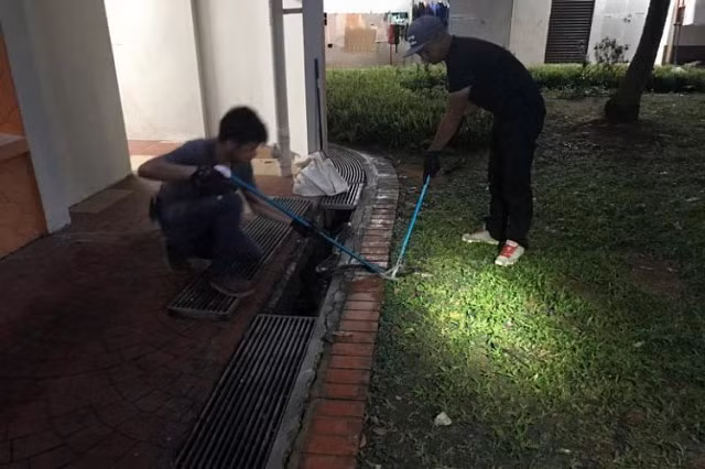 Tưởng bị mèo cào vào chân, người phụ nữ hãi hùng khi nhìn thấy thứ bên dưới - Hình 3