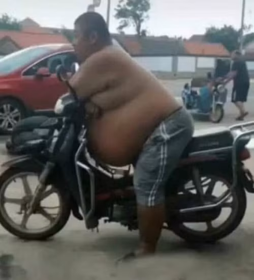 Sự kết hợp hoàn hảo.