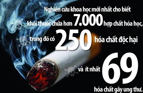 Trong khói thuốc lá chứa chất ướp xác, thuốc diệt chuột