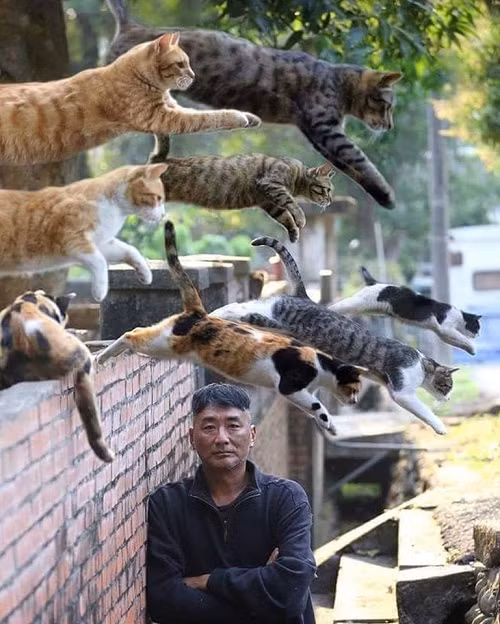 Cách tạo nên một bức ảnh hoàn hảo.