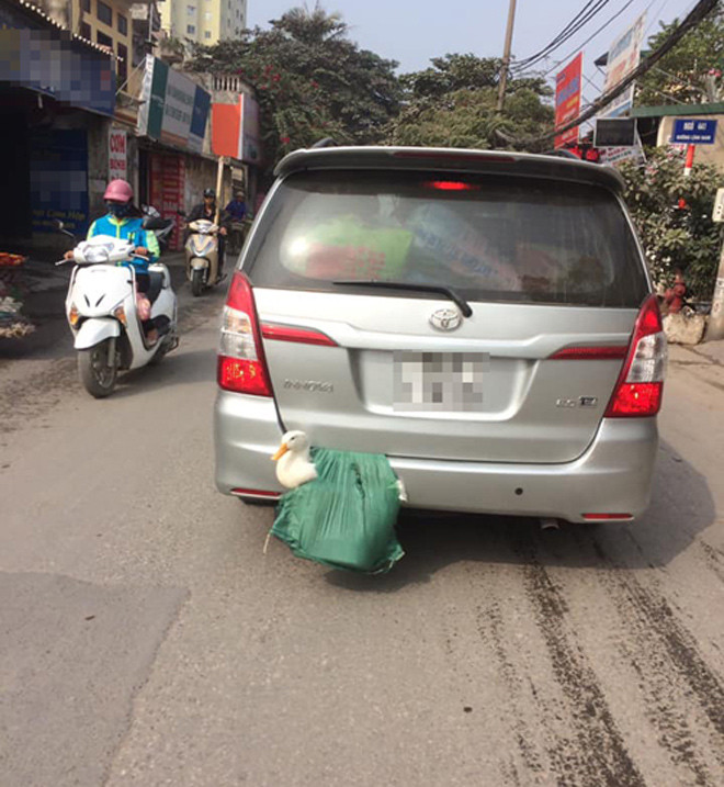 muon kieu qua que len pho sau moi ky nghi le hinh anh 4