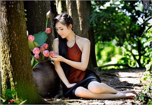 16907195900_9128b98488_b