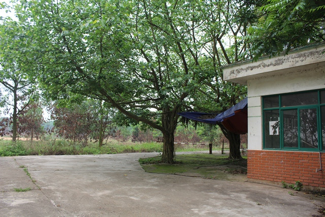 Nhiều hạng mục của Dự án BV đã có dấu hiệu xuống cấp. Ảnh: T.G