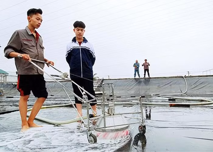 Chạy thực nghiệm máy làm sạch bề mặt bạt đá.y ao nuôi tôm Ảnh nhân vật cung cấp