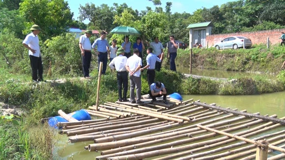 Ảnh minh họa