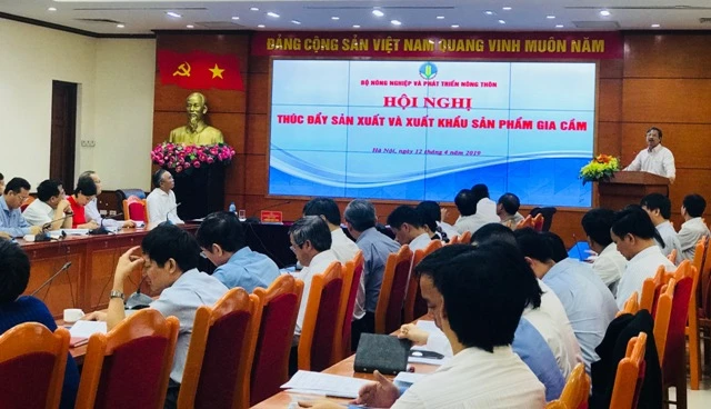 Hội nghị thu hút sự tham gia của đông đảo đại biểu. Ảnh: HNV