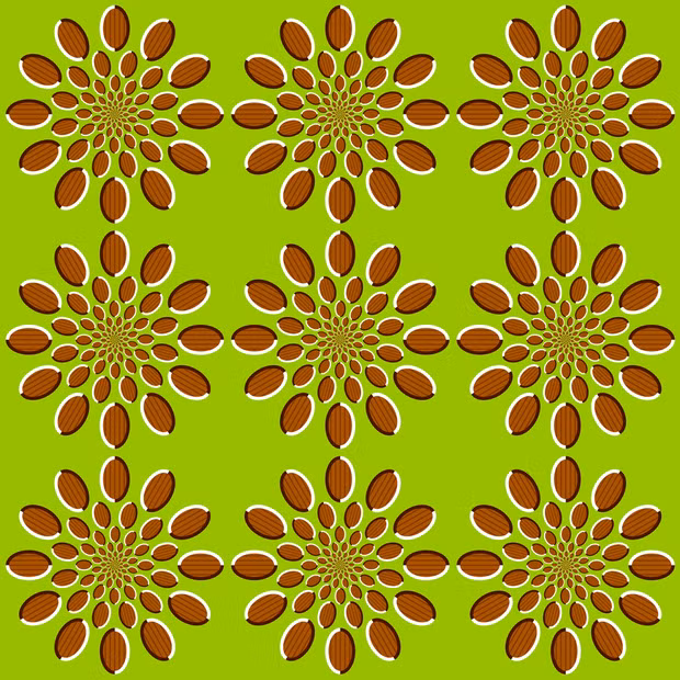 Những hình ảnh xoắn não đến người tỉnh táo nhất cũng phải rối trí - Ảnh 14.