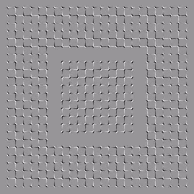 Những hình ảnh xoắn não đến người tỉnh táo nhất cũng phải rối trí - Ảnh 15.