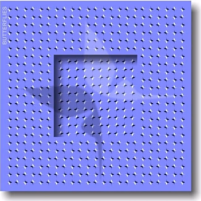 Những hình ảnh xoắn não đến người tỉnh táo nhất cũng phải rối trí - Ảnh 11.