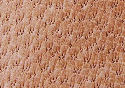 Mẹo phân biệt các loại giày da khác nhau ảnh 3 Mẹo phân biệt các loại giày da khác nhau ảnh 3