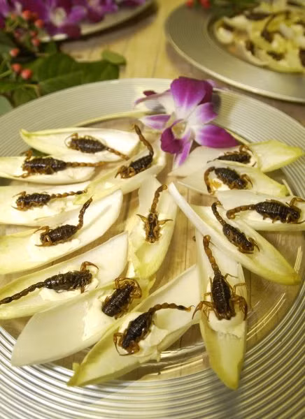 Bọ cạp được chế biến tại một nhà hàng Trung Quốc ở London (Anh). Món ăn phương Đông, phong cách bầy biện lại rất phương Tây, hấp dẫn và bắt mắt.