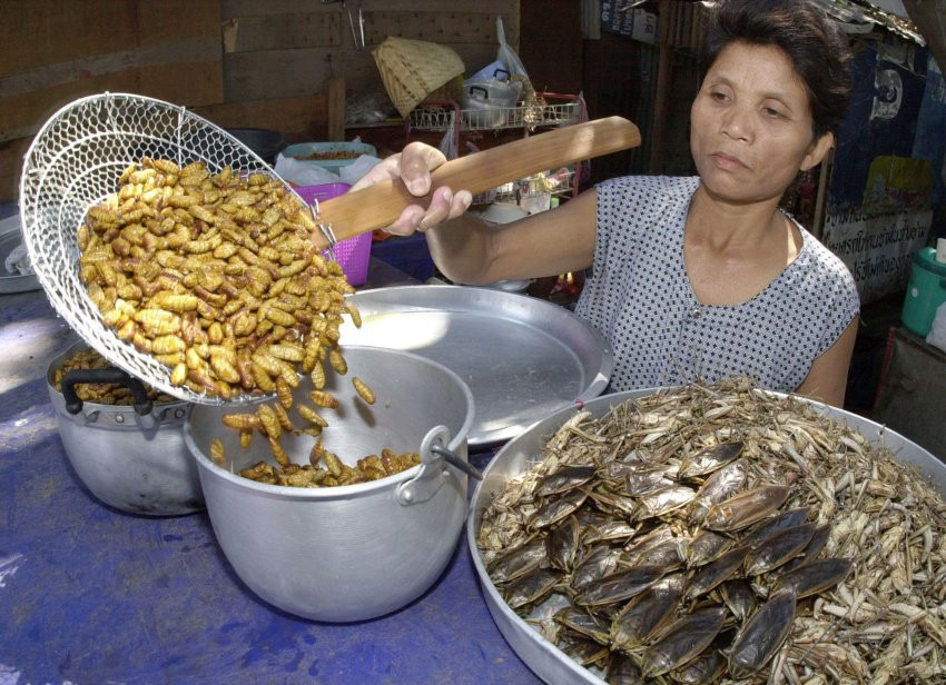 Các món ăn từ côn trùng tại một nhà hàng ở Bangkok ( Thái Lan), gồm rất nhiều loại: nhộng ong, cà cuống, châu chấu…