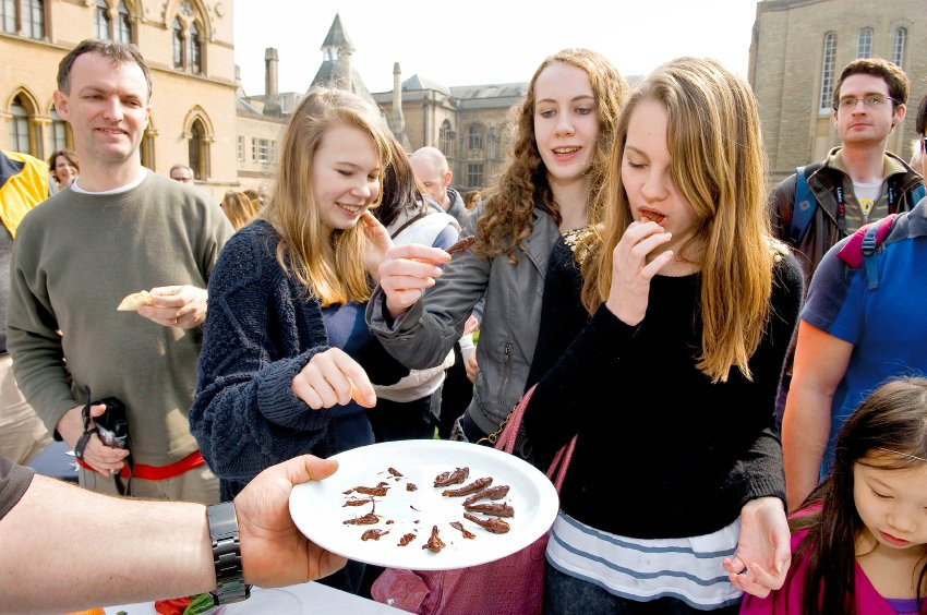 Một bữa tiệc với nhiều món từ côn trùng tại trường Đại học Oxford ( Anh) rất đắt khách. Tiệc ngoài có sự tham dự của SV thì còn có sự góp mặt của nhiều nhà khoa học, ĐSQ các nước. Người thưởng thức đang suýt soa khen ngon.