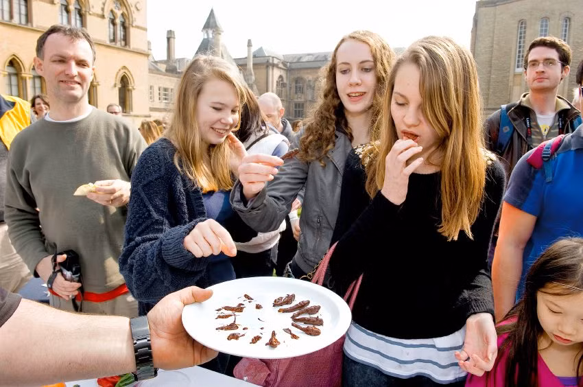 Một bữa tiệc với nhiều món từ côn trùng tại trường Đại học Oxford ( Anh) rất đắt khách. Tiệc ngoài có sự tham dự của SV thì còn có sự góp mặt của nhiều nhà khoa học, ĐSQ các nước. Người thưởng thức đang suýt soa khen ngon.