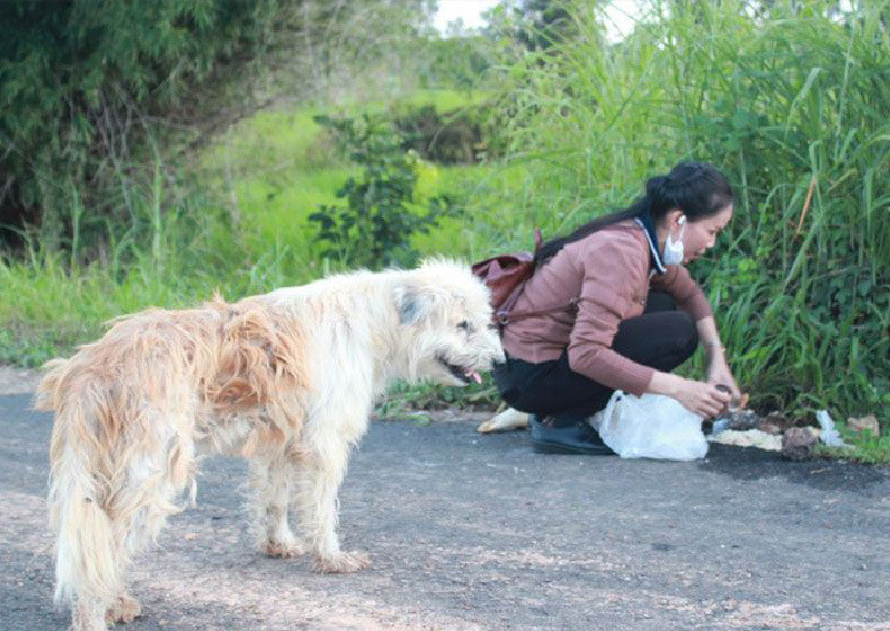 Chú chó bị lạc không chịu theo ai, đứng đợi chủ quay lại đón suốt 4 năm ảnh 1 Chú chó bị lạc không chịu theo ai, đứng đợi chủ quay lại đón suốt 4 năm