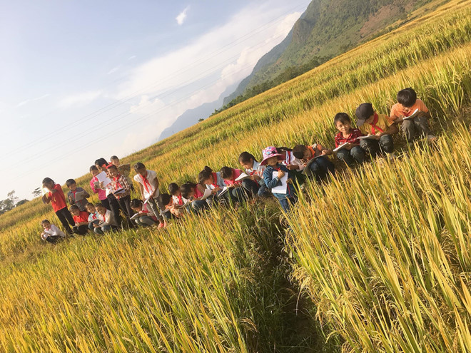 Hoc sinh khong biet ta canh dong, co giao dua ca lop ra ruong hinh anh 1 