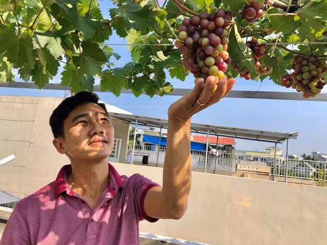 hoa mat gian nho luc liu trai tren san thuong tang 3 o tp quang ngai - 8