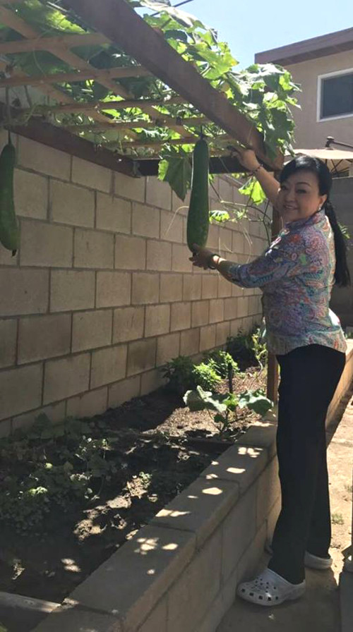 vuon-rau-thuan-viet-trong-khuon-vien-nha-ca-si-huong-lan-o-my-6
