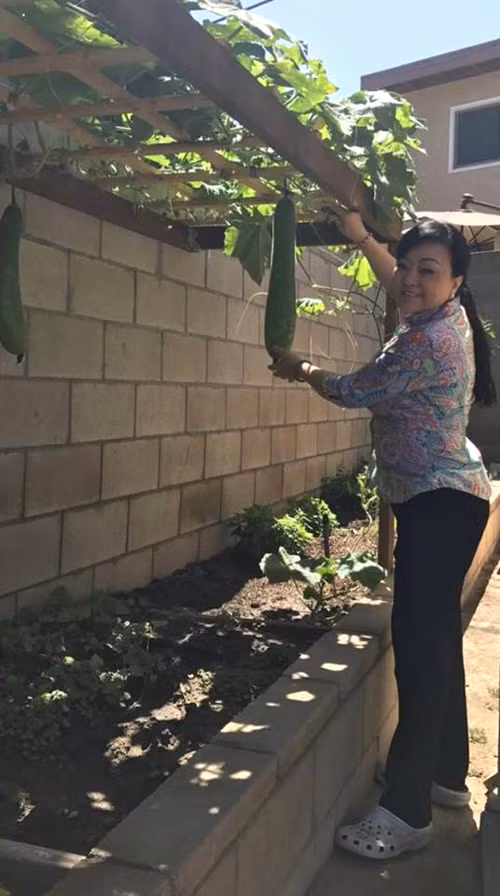 vuon-rau-thuan-viet-trong-khuon-vien-nha-ca-si-huong-lan-o-my-6
