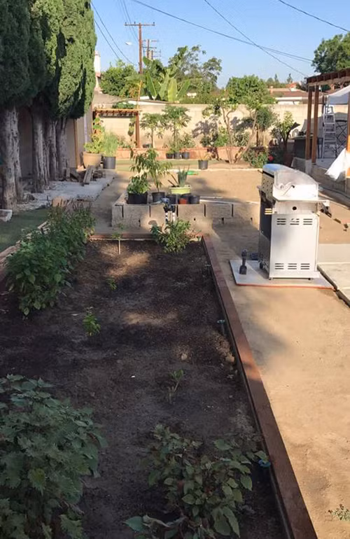 vuon-rau-thuan-viet-trong-khuon-vien-nha-ca-si-huong-lan-o-my-8