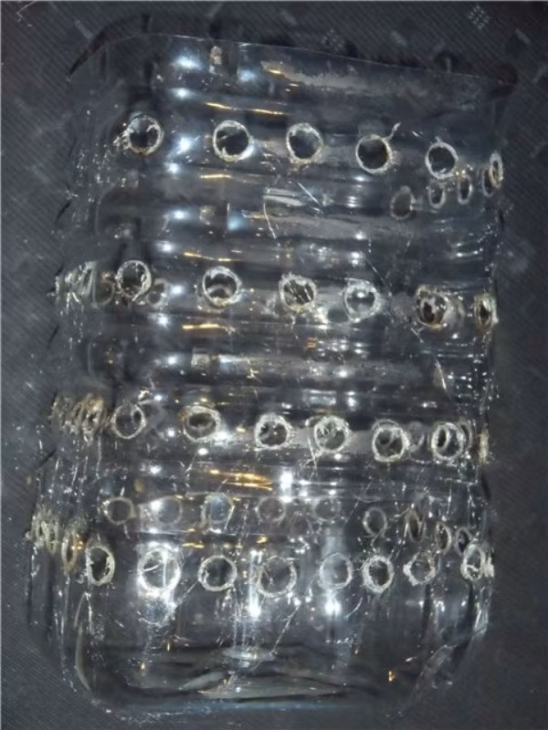 cách trồng hành trong chai nhựa 3