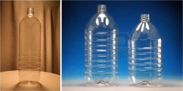 cách trồng hành trong chai nhựa 2