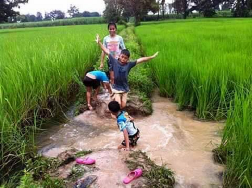 Khung cảnh thanh bình của tuổi thơ giữa những cánh đồng lúa xanh ngát. 20-mon-do-goi-nho-ky-uc-tuoi-tho-8x-9x-doi-dau-page-2-4