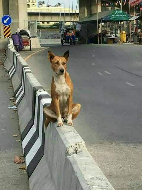 Chờ người nơi ấy. Chờ người nơi ấy.