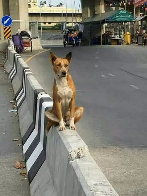 Chờ người nơi ấy.