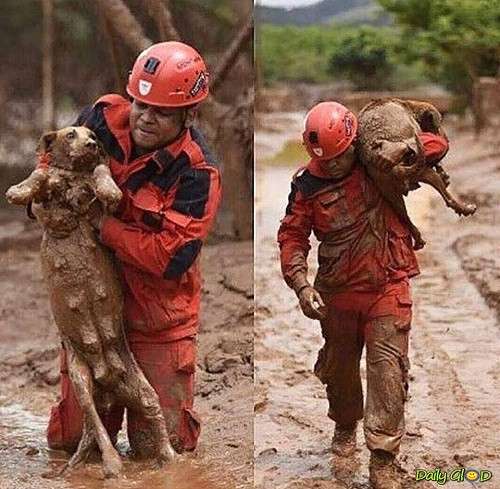 Anh hùng đời thực. Anh hùng đời thực.