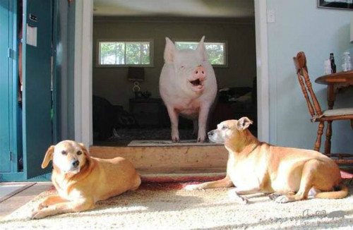 Nụ cười sáng bừng cả góc trời. Nụ cười sáng bừng cả góc trời.