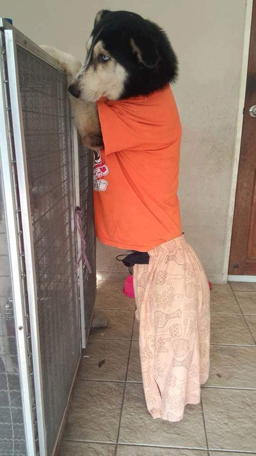 Nữ sinh gây sốc khi nuôi pet cực dị ảnh 11 anh-hot-blogtamsu (11)