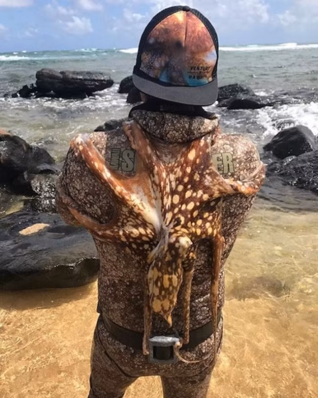 Những bức ảnh không dành cho người có đầu óc đen tối - Ảnh 2.