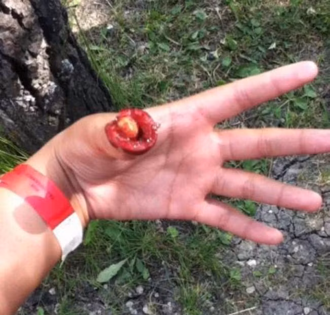 Những bức ảnh không dành cho người có đầu óc “đen tối“