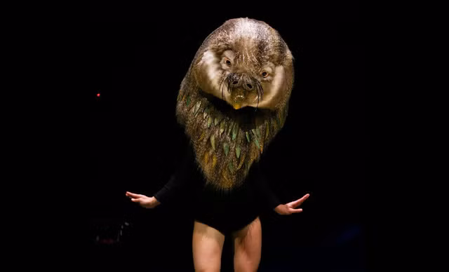  “Nữ hoàng vẹt” (2018) - Stephanie Cossens (New Zealand) 