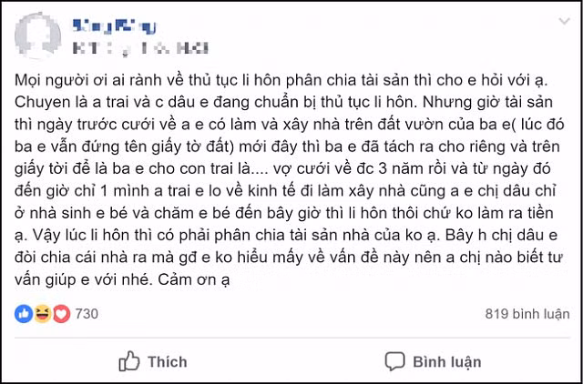 Tố chị dâu chỉ ăn rồi đẻ, cô em chồng còn tính kế làm sao để anh trai ly hôn mà không phải chia tài sản - Hình 1