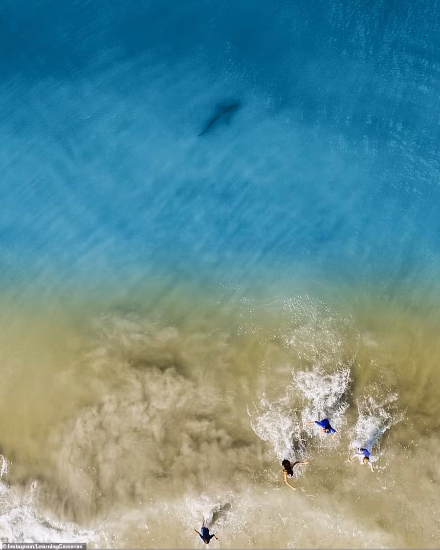 chup anh bien tu tren cao, ong bo dieng nguoi phat hien "tu than" lon von gan con minh hinh anh 2