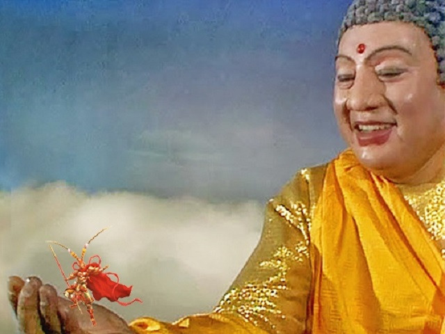 4 người Tôn Ngộ Không sợ nhất trong Tây Du Ký, gồm những ai? hình ảnh 2 4 nguoi ton ngo khong so nhat trong tay du ky, gom nhung ai? hinh anh 2