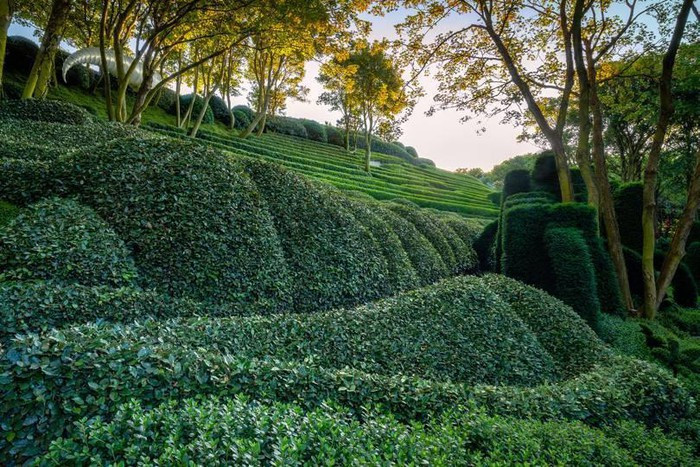 Khu vườn hút khách nhờ những viên đá kỳ dị ảnh 2 Khu vườn hút khách nhờ những viên đá kỳ dị ảnh 2