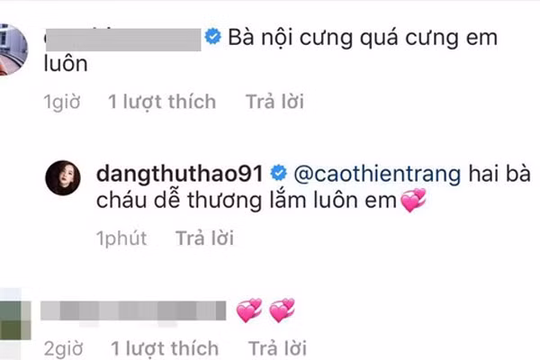 Khoe ảnh mẹ chồng bình dị bên con gái, Hoa hậu Đặng Thu Thảo khẳng định mối quan hệ thân thiết - Ảnh 2.