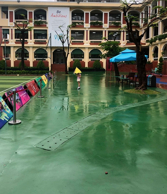 hồng nhung, sao việt