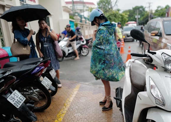 hồng nhung, sao việt