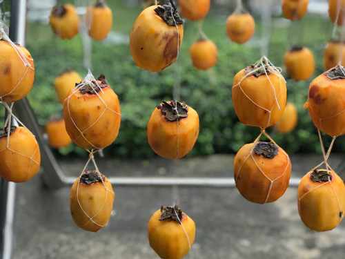 Có nhiều người dùng dây buộc quanh tai hồng, hoặc quanh cuống. Một số người đan túi thị hoặc dùng túi lưới bọc hoa để treo. Dùng dây buộc quanh tai hồng, hồng nào có cuống thì có thể buộc vòng quanh cuống. Hiện có một số bạn đã phát minh ra việc đan túi thị để treo hồng hoặc dùng túi lưới bọc hoa để treo.