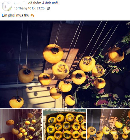 Đỗ Linh, ởTP HCM, khoe hồng treo gió ở ban công. Linh còn tỉ mẩn chụp hồng treo như tác phẩm nghệ thuật. Bạn Đỗ Linh khoe hồng treo gió