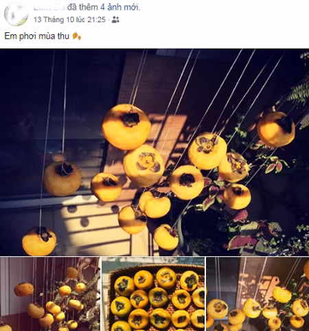 Đỗ Linh, ởTP HCM, khoe hồng treo gió ở ban công. Linh còn tỉ mẩn chụp hồng treo như tác phẩm nghệ thuật. Bạn Đỗ Linh khoe hồng treo gió