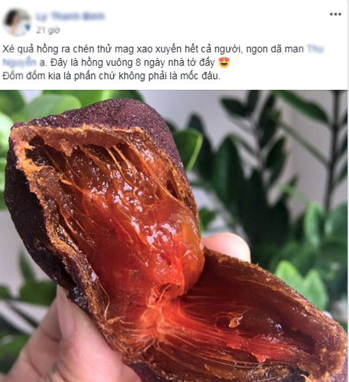 Chị Bình (Hà Đông) khoe hồng treo gió "ngon dã man" sau 8 ngày. Trên thị trường giá hồng gió bán sẵn khoảng 400.000 đồng/kg, nhưng nhiều nơi đem vào sấy hết nên không có độ dẻo dai ngon như tự phơi. Hồng treo gió trung bình khoảng một tuần là ăn được, nếu không bị nấm mốc.
