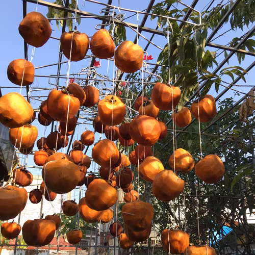 Hồng được treo ở khắp nơi, ngoài sân, góc nhà hay ban công chung cư.. Chỗ nào cũng được chị em tận dụng. Hồng được treo ở khắp nơi, ngoài sân, góc nhà hay ban công chung cư.. Chỗ nào cũng được chị em tận dụng.